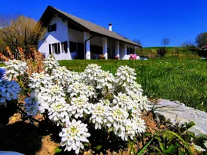 ”OASI DELLA PACE” WELLNESS VACATION HOME - Image 4