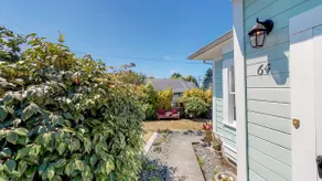 The lemon haven in Arcata - Image 3