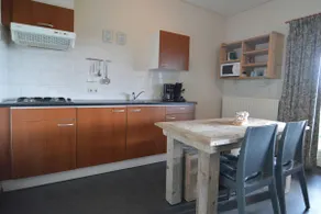 Holiday Home in Geesteren with Roof Terrace,Garden Furniture - Image 4