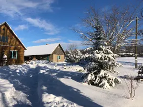 Cozy cottage in the silence of nature - Image 3