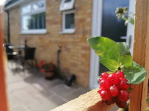 Cottage with a View - Image 4