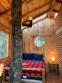Tree inside your cabin · Terrace and Huasca forest - Image 3
