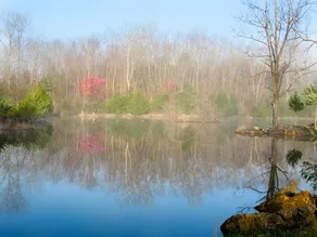A place to escape the busy routine of daily life. - Image 5