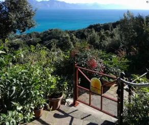 Villa Sole - A charming terrace to the gulf - Image 2