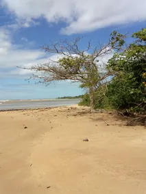 Enseada das Garças Beach - Praia Grande-ES. - Image 5