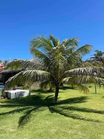 Beach house - Image 3