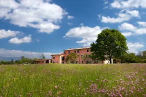 Tenuta San Giovanni Lucca - Image 4