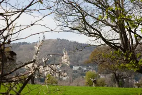 Holywell Suite on the Malvern Hills - Image 3