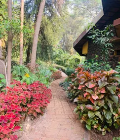 Shalom, your home in the forest !! - Image 3
