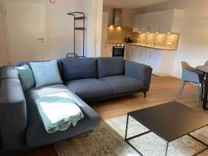 Modern flat near Echternach - Image 4