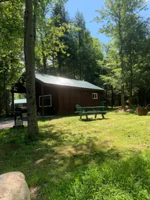 “A little cabin in the woods” - Image 3