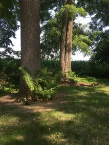 Great Berkshire Getaway ! - Image 5
