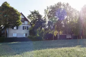 Country house 3 Birken Mosel/Eifel - Image 5