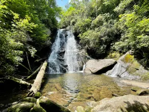 Cashiers Cottage - central location, 5 min to downtown, dog-friendly - Image 4