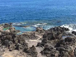 Your Holiday Home - El Tablado - Tenerife Sur - Image 2