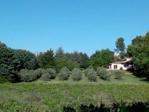 House, absolute calm, view of the Luberon - Image 4
