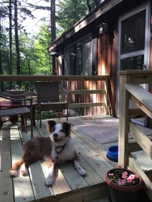 Cozy Cabin Retreat | Readaway | Movie Nights - Image 3