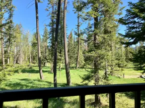 Strawberry Mnt Lookout-Tranquil Retreat On 5 Acres - Image 2