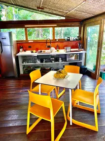 Love in the forest: sauna, waterfalls, beaches… - Image 3