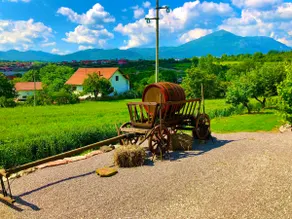 Traditional Serbian homestay ” Stanojevic” - Image 4
