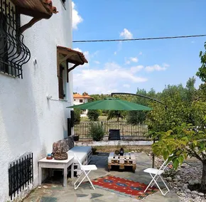 Tasos Villa-Roula - Image 5