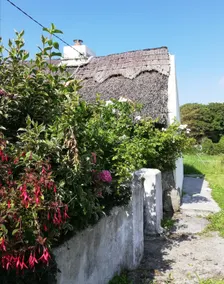 The Thatched Cottage - Image 4