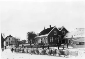 Farm ”De Vlaming” in old village Zoetermeer - Image 5