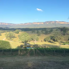 Spectacular vineyard homestead with views!! - Image 5