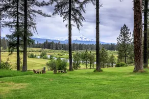 Aspen Cabin at House on Metolius - Image 5