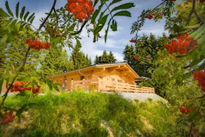 Luxury chalet with sauna & hot tub in the national park - Image 4