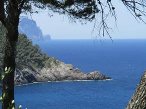 ”Son Riera” Little Paradise - Image 3