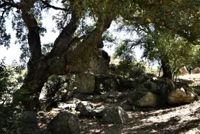 B&B I Menhir - Image 5
