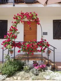 Casa Langhe di Mango - Barolo - Image 3