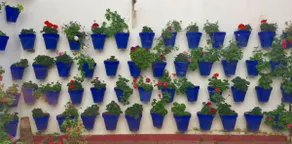 Toril Apartment. Historic Center / Free wifi. - Image 2