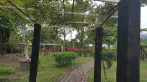 Tree Lake Cottage - Entire house for 6 people Guest House in Tree Lake - Image 2