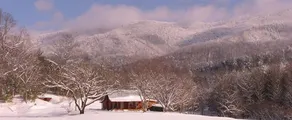 Historic Ben Ellis Cabin | 34 Private Acres - Image 5