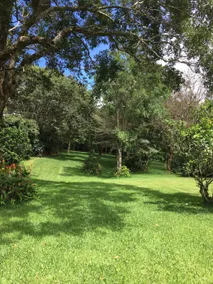 Hacienda Belina - private coffee farm experience - Image 3