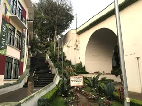 Beautiful House in the Xalitic Neighborhood - Image 2