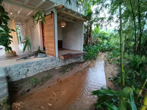 Wabi Sabian Broga, organic farmstay - Image 3