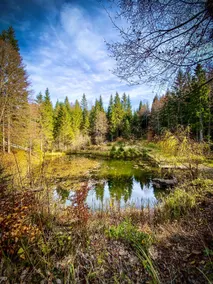 Pine Lodge - isolated mountain wooden log house - Image 3