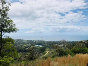 Sky Loft Coffs · Sky Loft On Bruxner - Korora - Image 5