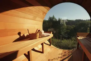 Houffalize Forest View Villa - Image 2