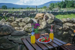 Rural retreat in Sierra Norte near Buitrago - Image 3