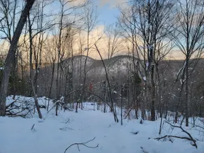 Cozy Adirondack Cottage in private 80 acre woods. - Image 4