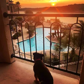 Atemberaubende Aussicht auf Lake Travis @ The Island - Image 2