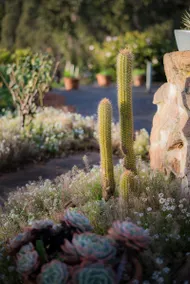 A perfect country getaway for couples or friends. - Image 5