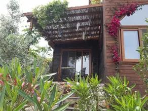 Mini holiday house (M&M) Adrasan - Image 3