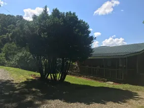 The Mountain View Cabin - Image 4