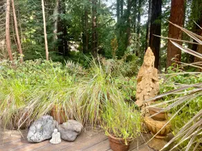 Redwoods, Private Hot Tub, Rain Shower, King Beds - Image 5