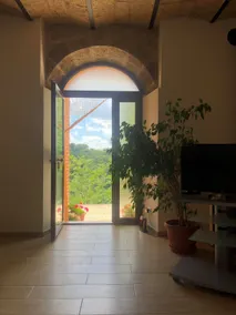 The House in the Olive Grove - Image 5